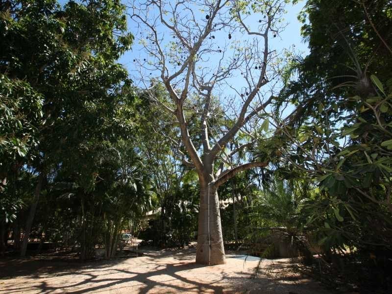 29 Herbert Street, Broome WA 6725