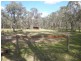 85 Phipps Rd, Maraylya NSW 2765