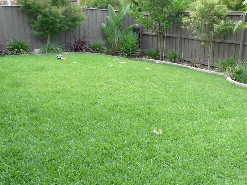 11 Ardley Ave, Kellyville NSW 2155