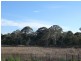48 Sanctuary Drive, Beaumont Hills NSW 2155