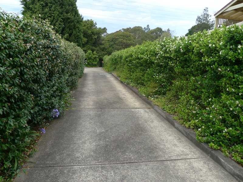 231 Purchase Rd, Cherrybrook NSW 2126