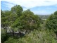 41 Coles Rd, Freshwater NSW 2096