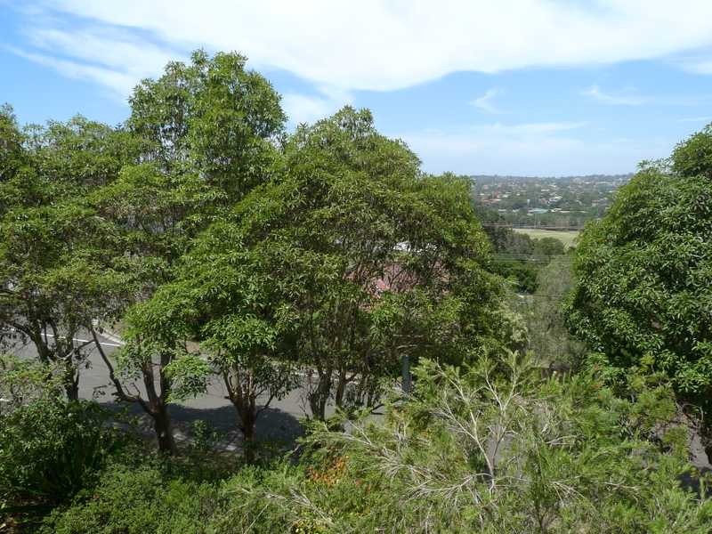41 Coles Rd, Freshwater NSW 2096