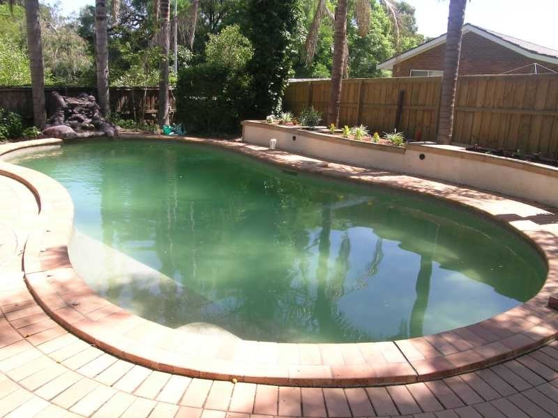 116 Showground Road, Castle Hill NSW 2154