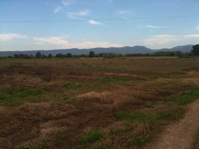 20 Springwood Rd, Agnes Banks NSW 2753