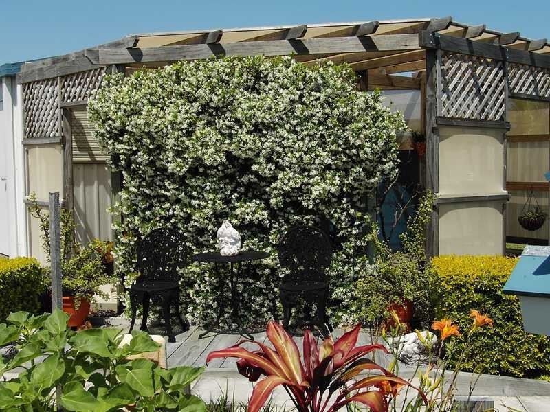 16 Achilles Ave, Cooloola Cove QLD 4580