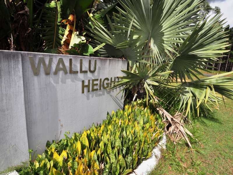 11 Bobrei Court, Wallu QLD 4570