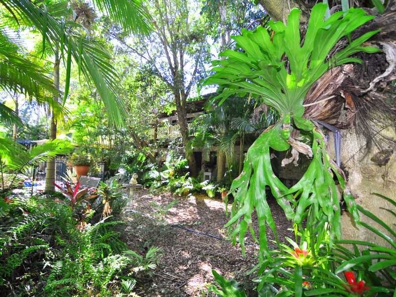 24 Queen Elizabeth Drive, Cooloola Cove QLD 4580