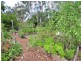 24 Queen Elizabeth Drive, Cooloola Cove QLD 4580