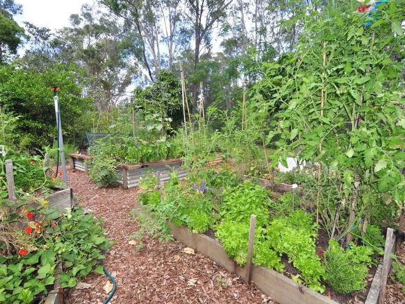 24 Queen Elizabeth Drive, Cooloola Cove QLD 4580