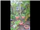 24 Queen Elizabeth Drive, Cooloola Cove QLD 4580