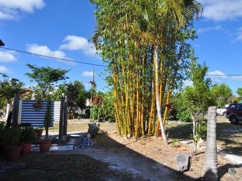 23 Marco Polo Drive, Cooloola Cove QLD 4580
