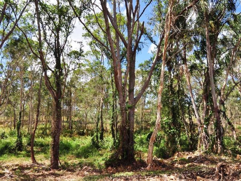 29 Tom Thumb Court, Cooloola Cove QLD 4580