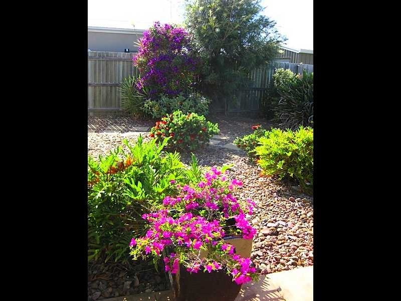 1 LOMANDRA AVENUE, Cooloola Cove QLD 4580