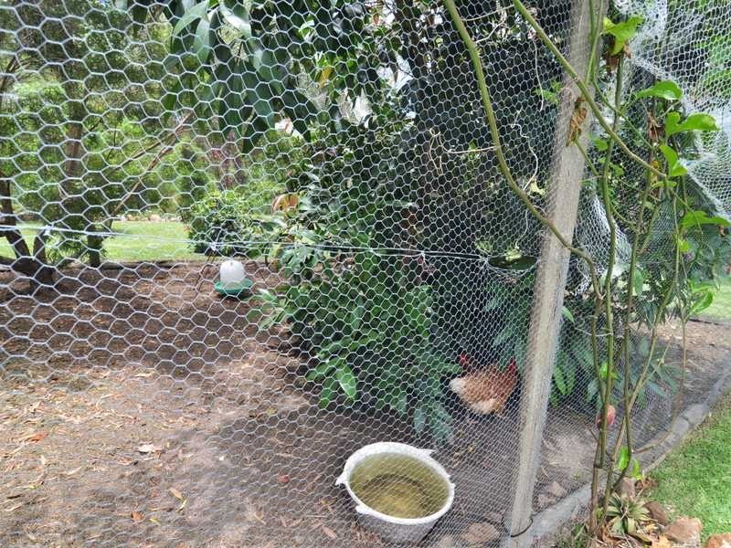 32 Tom Thumb Court, Cooloola Cove QLD 4580