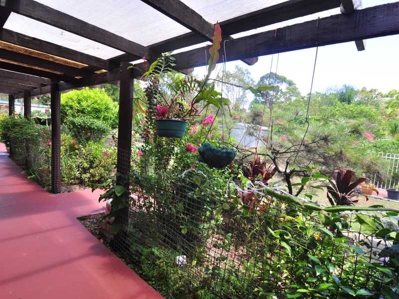 46 Discovery Drive, Cooloola Cove QLD 4580
