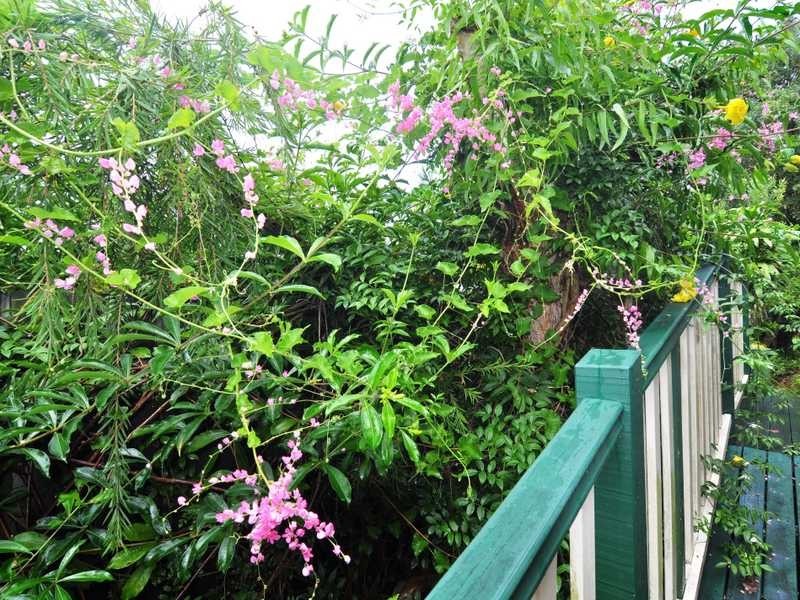 26 SWEETLIP CIRCUIT, Tin Can Bay QLD 4580