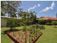 188 Queen Elizabeth Drive, Cooloola Cove QLD 4580