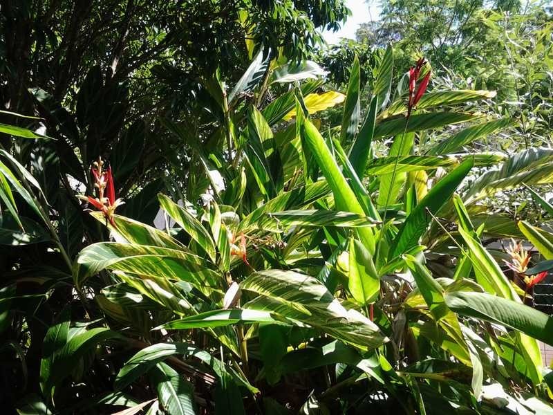 27 BOMBURRA COURT, Rainbow Beach QLD 4581