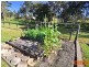 8 Gypsy Court, Cooloola Cove QLD 4580