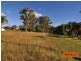 196 Investigator Avenue, Cooloola Cove QLD 4580