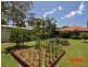 188 Queen Elizabeth Drive, Cooloola Cove QLD 4580