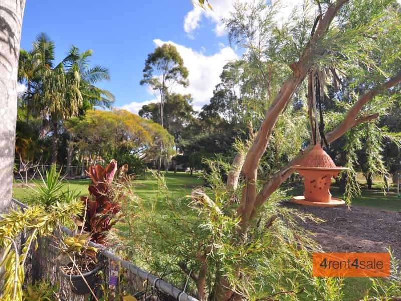 56 Discovery Drive, Cooloola Cove QLD 4580
