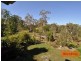 5 Merrimac Ct, Cooloola Cove QLD 4580