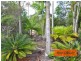 7 Roebuck Street, Cooloola Cove QLD 4580