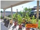 73 Marco Polo Drive, Cooloola Cove QLD 4580