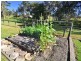8 Gypsy Court, Cooloola Cove QLD 4580