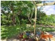 4 Gretel Court, Cooloola Cove QLD 4580