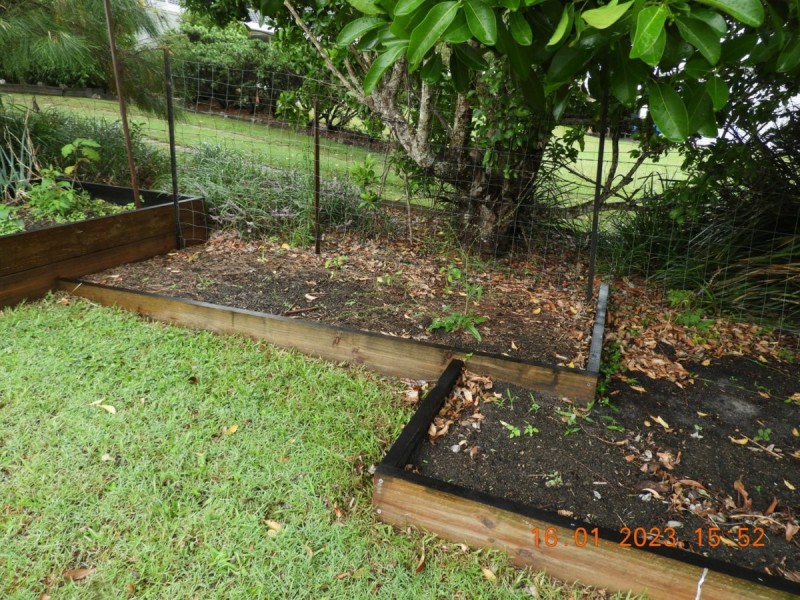 Cooloola Cove QLD 4580