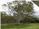 198 Investigator Ave, Cooloola Cove QLD 4580