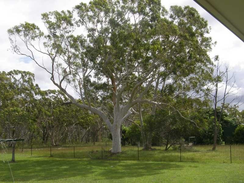 198 Investigator Ave, Cooloola Cove QLD 4580