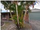 11 Drummer Street, Tin Can Bay QLD 4580