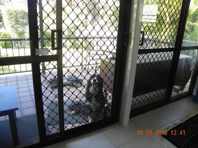 7 Sweetlip Circle, Tin Can Bay QLD 4580