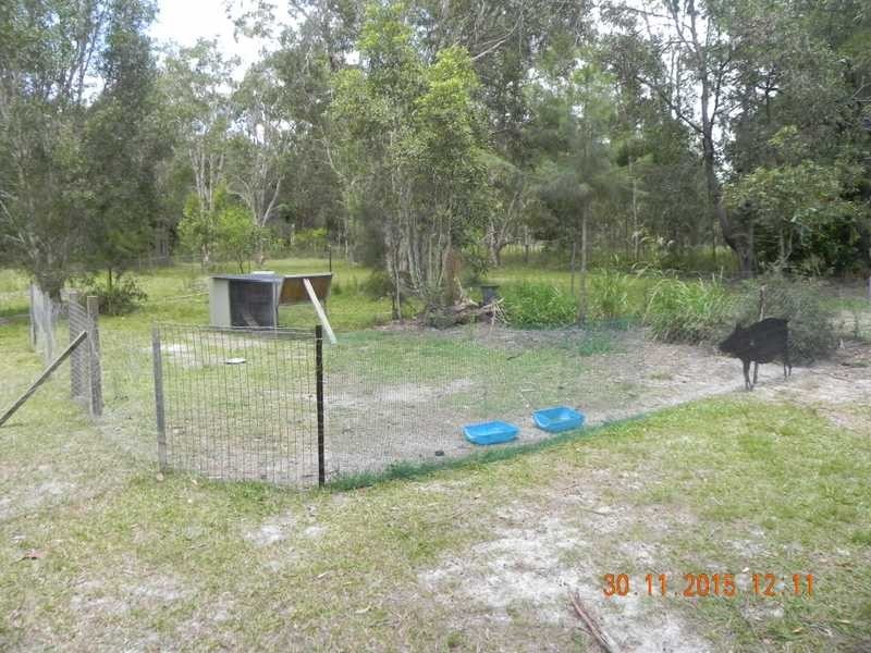 53 Osborne Court, Wallu QLD 4570