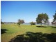Mooloolaba QLD 4557