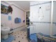 Mooloolaba QLD 4557