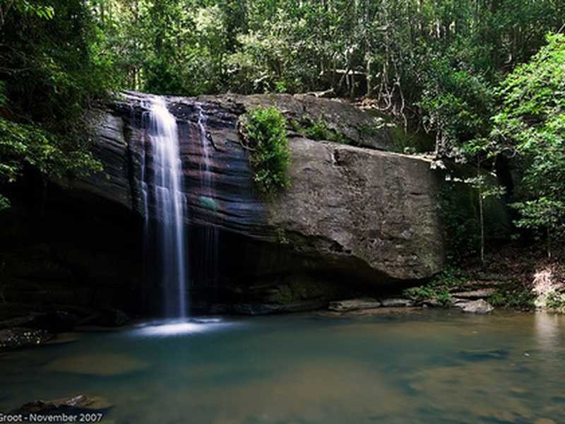 Buderim QLD 4556