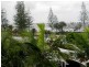 Alexandra Headland QLD 4572