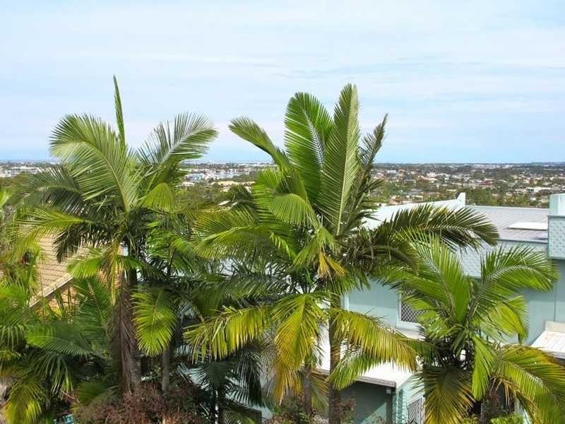 Unit 8/67 Mooloolaba Road, Mooloolaba QLD 4557