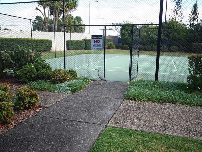 Kawana Island QLD 4575