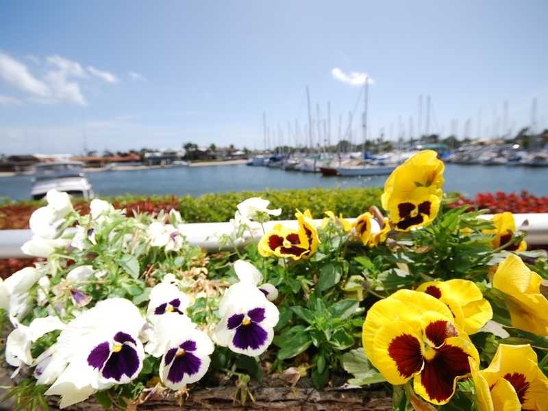 Unit 108/13 Nicklin Way, Minyama QLD 4575