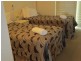 Mooloolaba QLD 4557