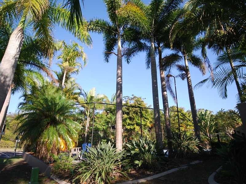 2 Molakai Drive, Mountain Creek QLD 4557