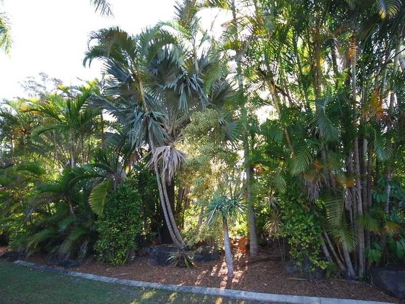 2 Molakai Drive, Mountain Creek QLD 4557