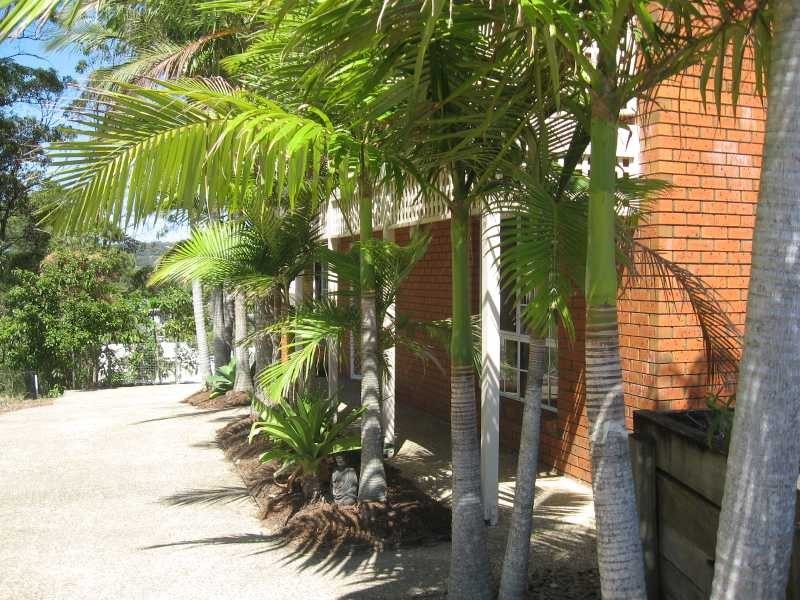 Alexandra Headland QLD 4572