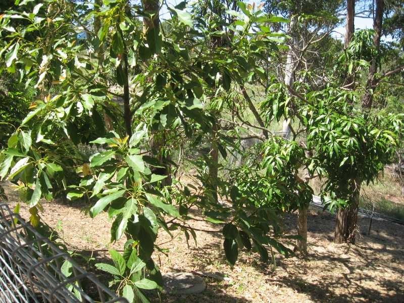 Alexandra Headland QLD 4572